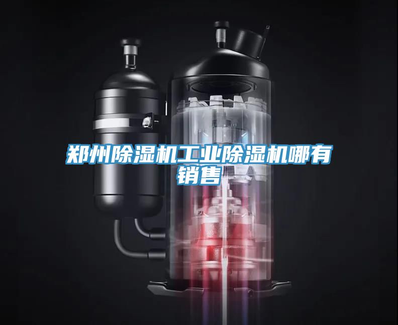 鄭州除濕機工業(yè)除濕機哪有銷售