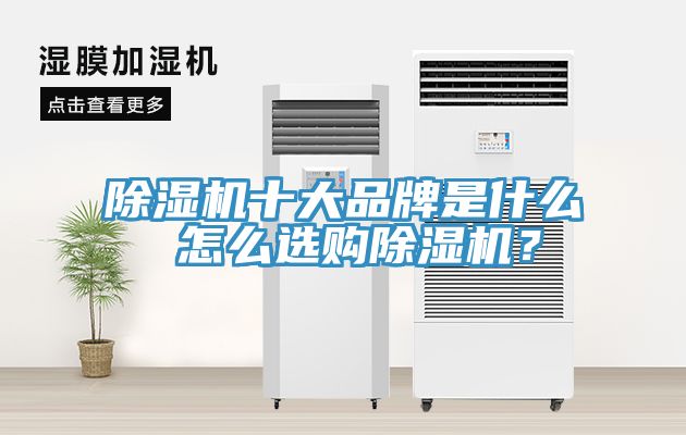 除濕機(jī)十大品牌是什么 怎么選購(gòu)除濕機(jī)？