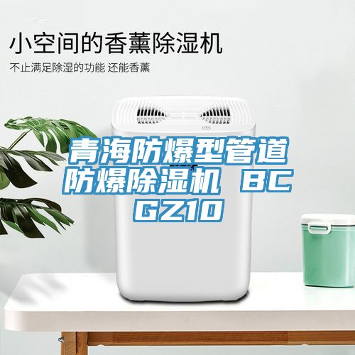 青海防爆型管道防爆除濕機(jī) BCGZ10