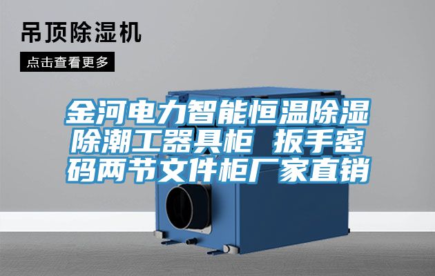 金河電力智能恒溫除濕除潮工器具柜 扳手密碼兩節(jié)文件柜廠家直銷