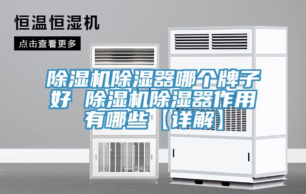 除濕機除濕器哪個牌子好 除濕機除濕器作用有哪些【詳解】