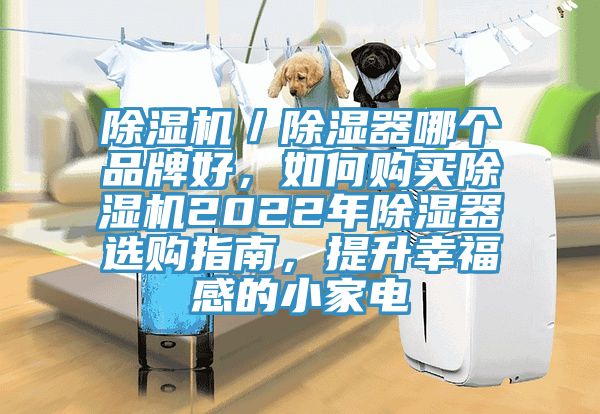 除濕機(jī)／除濕器哪個品牌好，如何購買除濕機(jī)2022年除濕器選購指南，提升幸福感的小家電